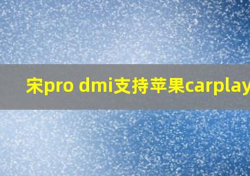 宋pro dmi支持苹果carplay么